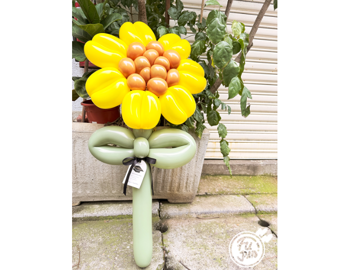 畢業系列｜大向日葵